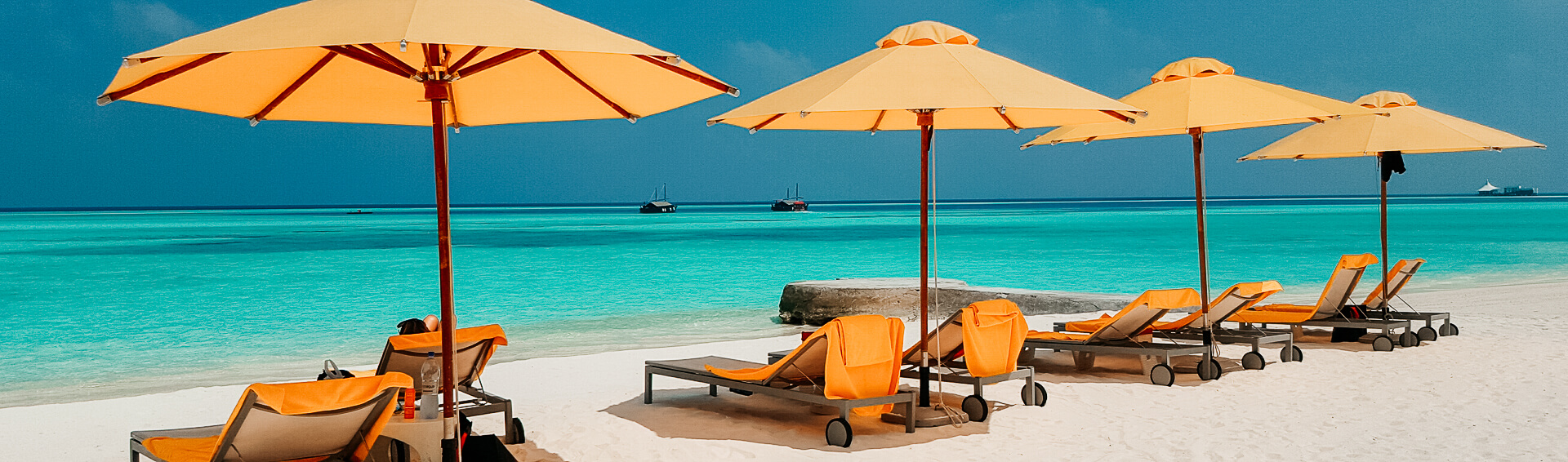 Terms and Conditions