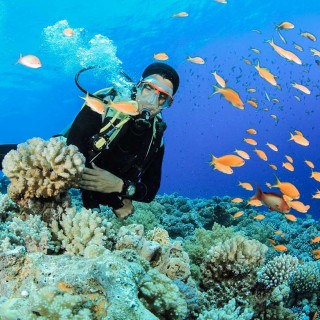 Maavilath Snorkeling Point Excursion