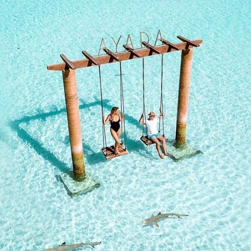 Escape to Maldives 