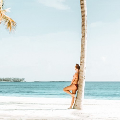 Rumble in the Tropics   