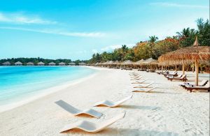 Cinnoman Dhonveli Day Tour