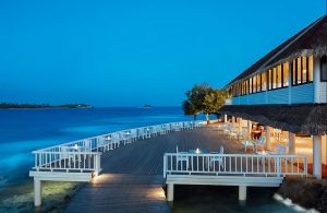 Cinnoman Dhonveli Day Tour