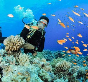 Maavilath Snorkeling Point Excursion