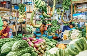Male City Walking Tour