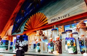 North Male Island Hopping