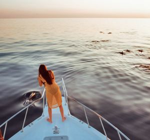 Snorkeling and Dolphin Cruise 	