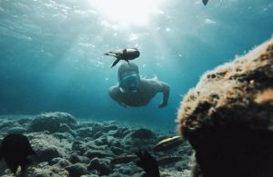 Snorkeling and Dolphin Cruise 	