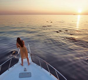 Snorkeling and Dolphin Cruise 	