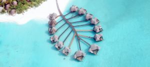 Coco Palm Dhuni Kolhu