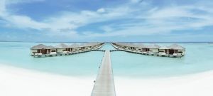 Paradise Island Resort