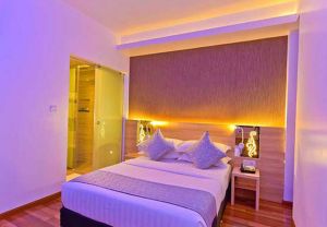 Standard Deluxe Room