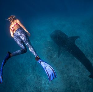 Day 2 - Snorkel Wind-down