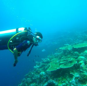 Day 2 - Turtle Fantasy