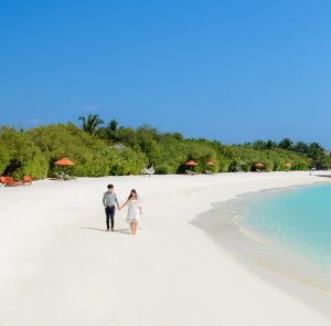 Day 3 – Nocturnal Surprise