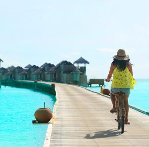 Day 4 - Befriend the Native Life