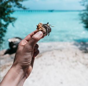 Day 4 - Cycling around