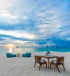 Sandbank Dining, Snorkeling and Sunset cruises 