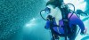 Scuba Explore Nine Dives