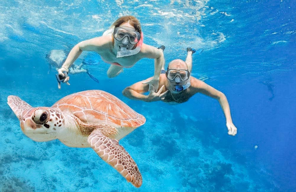 Sandbank Snorkeling 