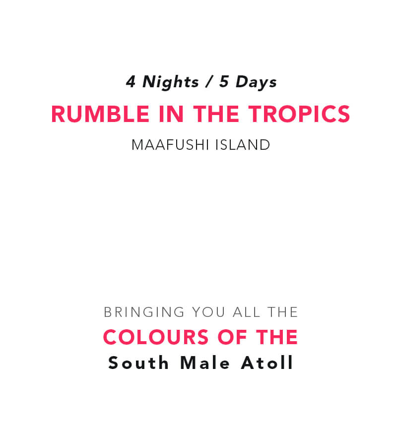 Rumble in the Tropics   